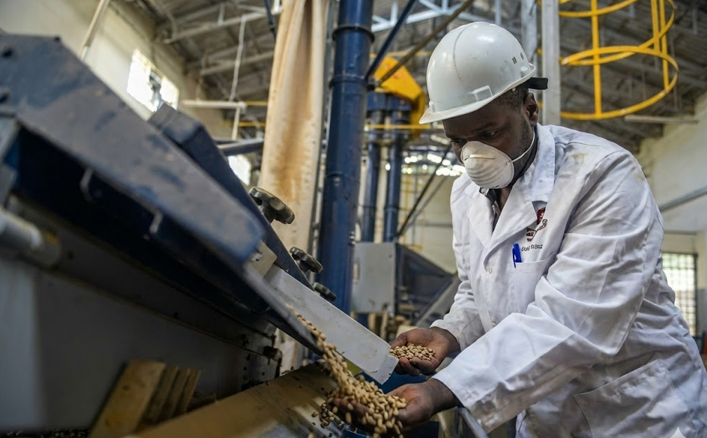 Agricultural Processing Factory