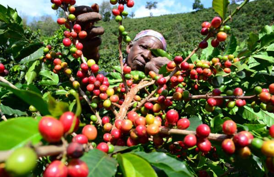 Benefits for Farmers